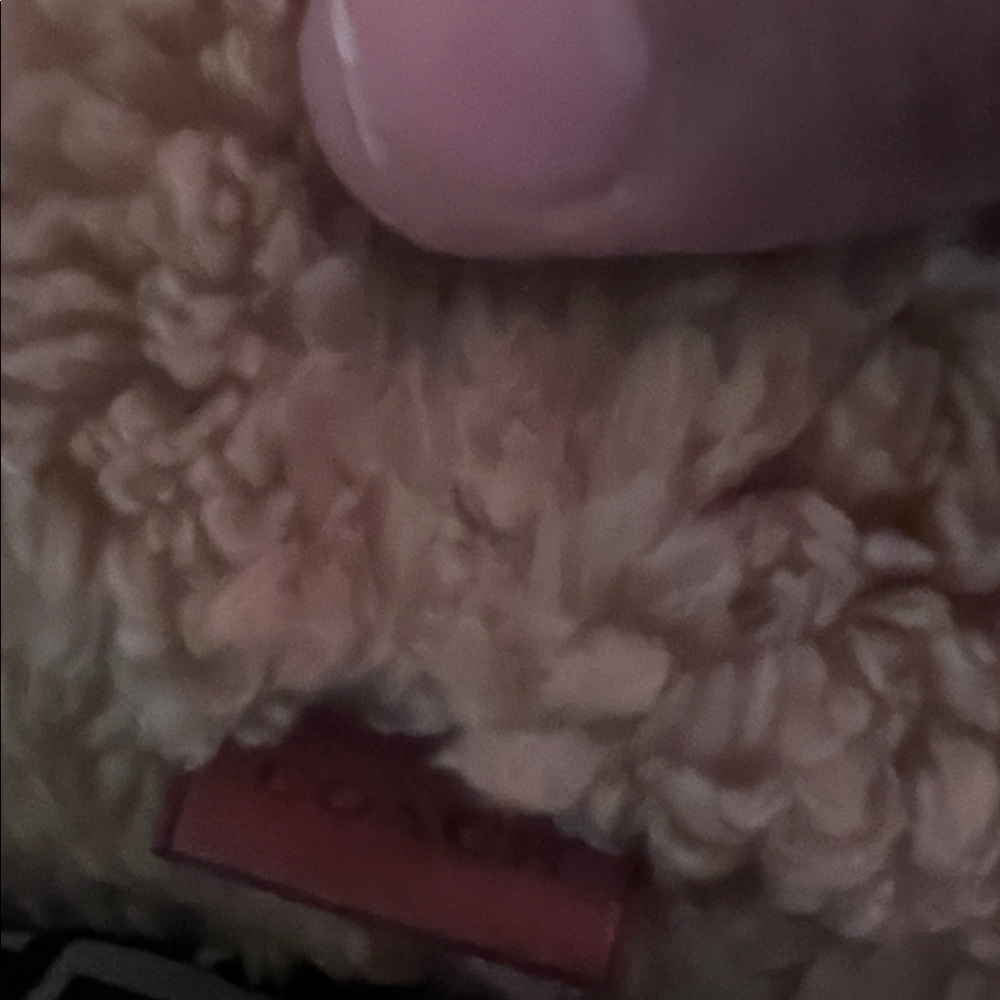 Coach Beige Fuzzy Accessory